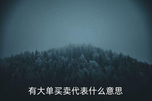 在買5成交有大單是什么意思，股票中大單是什么意思