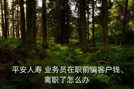  平安人壽 業(yè)務(wù)員在職前騙客戶錢、離職了怎么辦