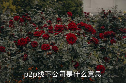 p2p線下公司是什么意思