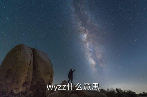 wyzz什么意思