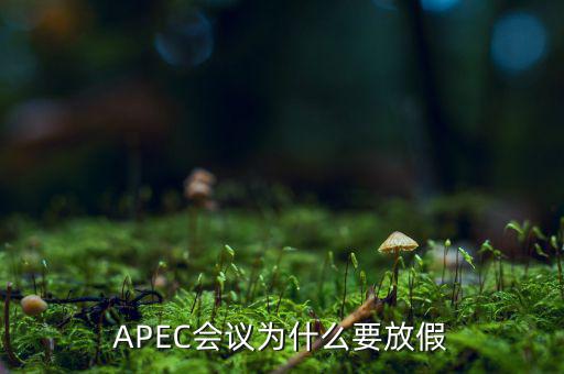 APEC會(huì)議為什么要放假