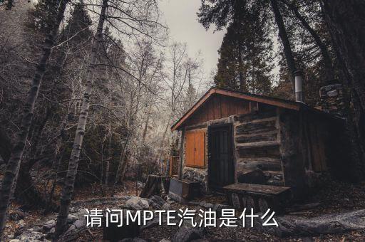 請問MPTE汽油是什么