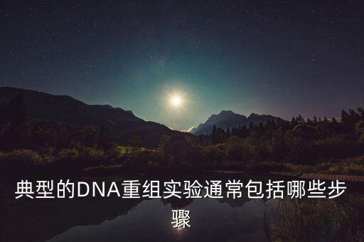 典型的DNA重組實驗通常包括哪些步驟