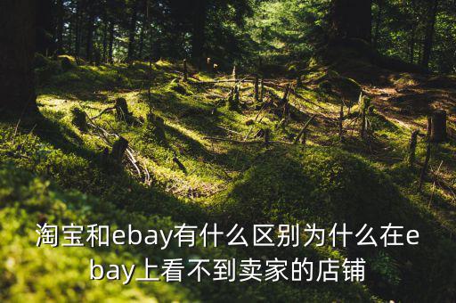 淘寶和ebay有什么區(qū)別為什么在ebay上看不到賣家的店鋪