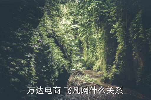 萬達電商 飛凡網(wǎng)什么關(guān)系