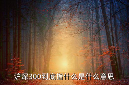 滬深300到底指什么是什么意思