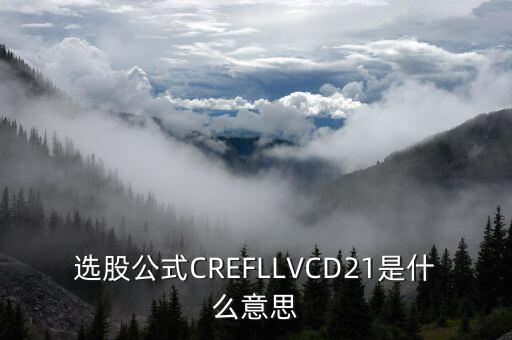 股票里的D2什么意思，選股公式CREFLLVCD21是什么意思