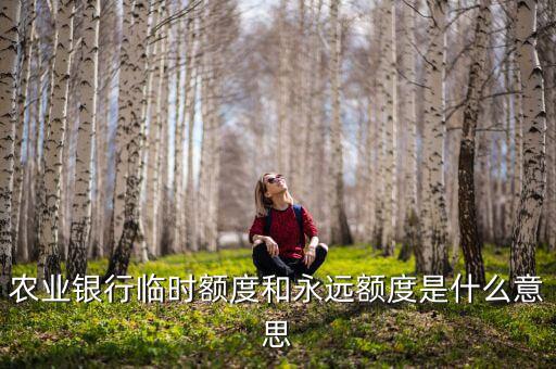 農(nóng)業(yè)銀行臨時額度和永遠(yuǎn)額度是什么意思