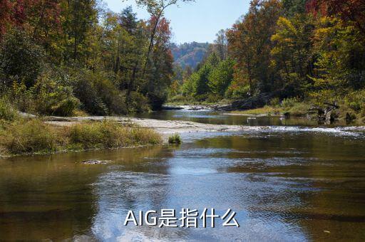 aig危機(jī)是什么，AIG為什么會(huì)瀕臨倒閉