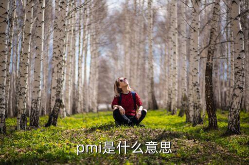 ism非制造業(yè)pmi是什么，pmi是什么意思