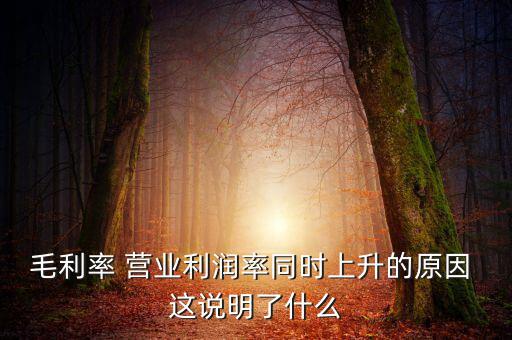 毛利率增長(zhǎng)說(shuō)明什么，增值稅毛利率的高低說(shuō)明什么