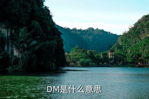 什么是dm理財(cái)，DM在國際金融里面是什么意思