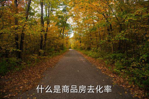 什么是新開樓盤去化率，房產(chǎn)去化率是什么