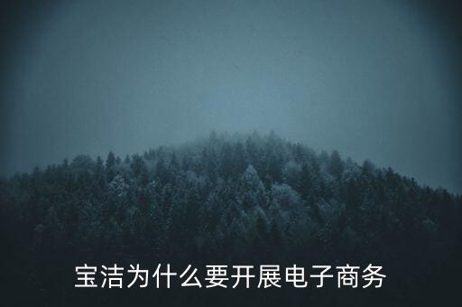 寶潔為什么要開展電子商務(wù)