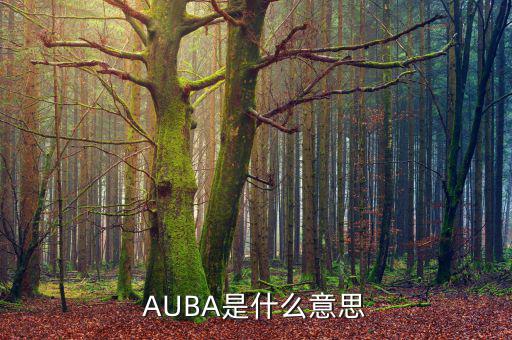 華夏現(xiàn)金增利貨幣a是什么，AUBA是什么意思