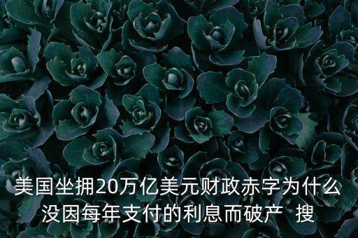 美國(guó)坐擁20萬(wàn)億美元財(cái)政赤字為什么沒(méi)因每年支付的利息而破產(chǎn)  搜