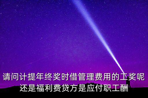 請問計提年終獎時借管理費用的工獎呢還是福利費貸方是應(yīng)付職工酬