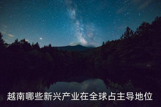 越南有什么制造業(yè)，越南哪些新興產(chǎn)業(yè)在全球占主導地位