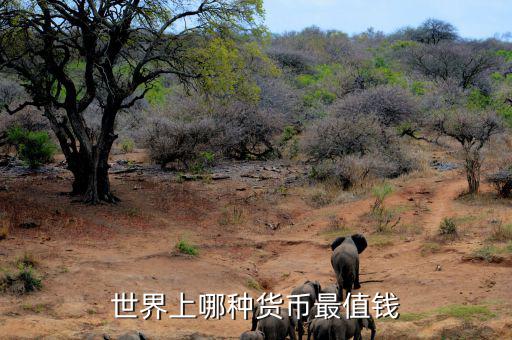 什么貨幣最保值，世界上最值錢(qián)的貨幣有哪些