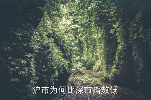 滬市為何比深市指數(shù)低