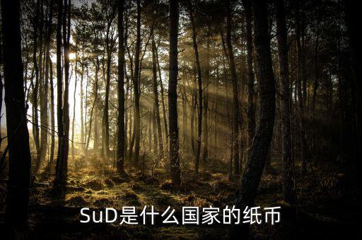 sud是什么貨幣，SUD是什么貨幣單位