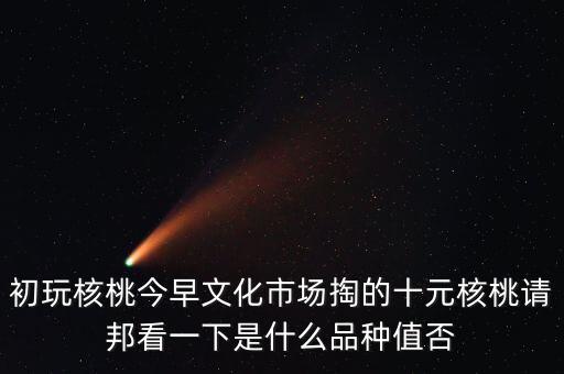 賭核桃是什么品種，請問我這個手玩核桃是什么品種好嗎值多錢