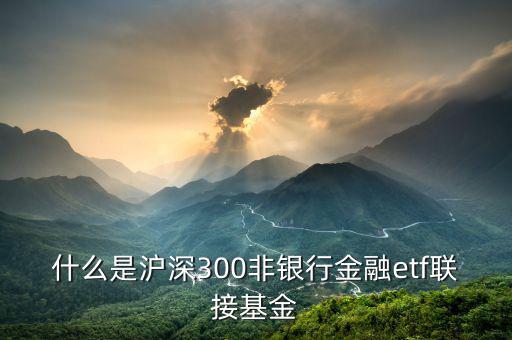 什么是滬深300非銀行金融etf聯(lián)接基金