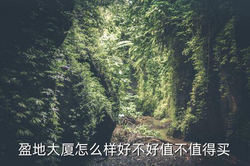 盈地大廈怎么樣好不好值不值得買