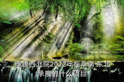  電建西北院2022年在阜南 東北承接的什么項目