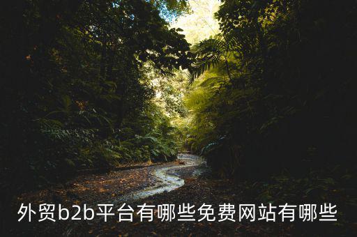 外貿(mào)b2b平臺有哪些免費網(wǎng)站有哪些