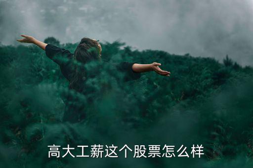 高大工薪這個股票怎么樣