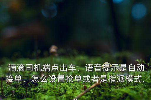  滴滴司機端點出車、語音提示是自動接單、怎么設(shè)置搶單或者是指派模式...