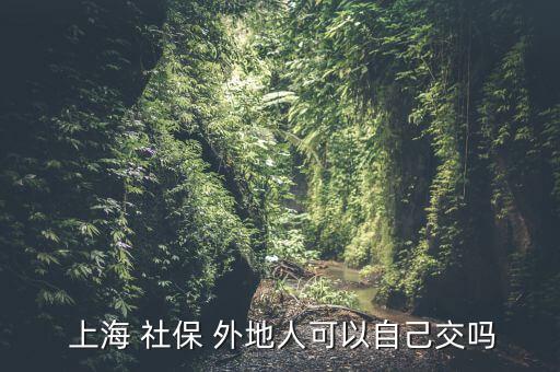 外地人在上海怎么買(mǎi)社保,上交社保有用嗎?