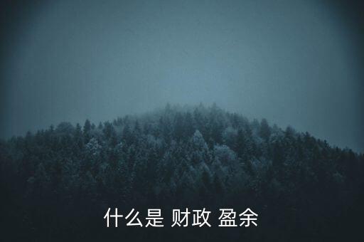 什么是 財政 盈余