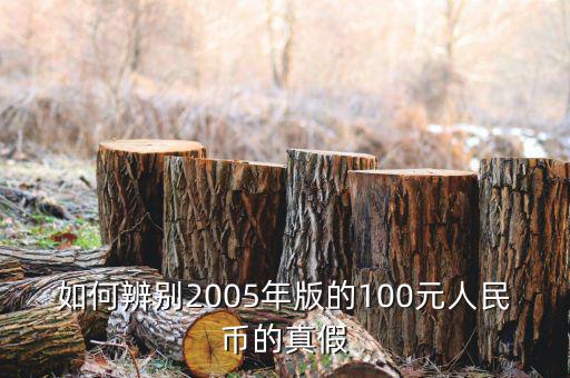 如何辨別2005年版的100元人民幣的真假