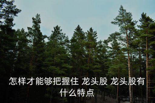 怎樣才能夠把握住 龍頭股 龍頭股有什么特點(diǎn)