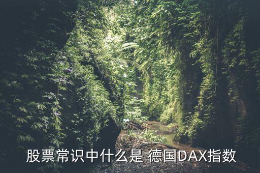  股票常識(shí)中什么是 德國(guó)DAX指數(shù)