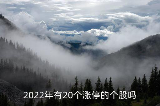 2022年有20個(gè)漲停的個(gè)股嗎