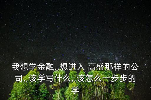 我想學(xué)金融,,想進入 高盛那樣的公司,,該學(xué)寫什么,,該怎么一步步的學(xué)