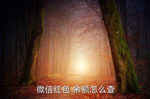  微信紅包 余額怎么查