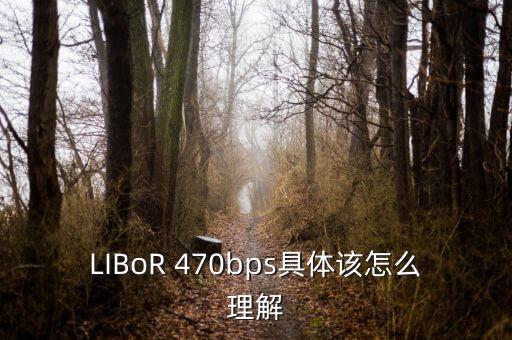 LIBoR 470bps具體該怎么理解