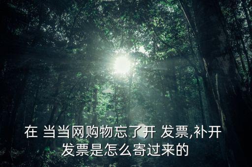 當(dāng)當(dāng)網(wǎng)怎么索要發(fā)票,當(dāng)當(dāng)網(wǎng)自助網(wǎng)上申請(qǐng)服務(wù)發(fā)票系統(tǒng)已上線(xiàn)