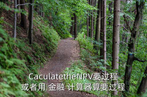 CaculatetheNPV要過程或者用 金融 計(jì)算器算要過程