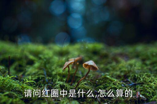 請(qǐng)問(wèn)紅圈中是什么,怎么算的