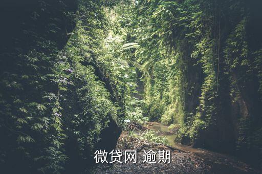  微貸網(wǎng) 逾期