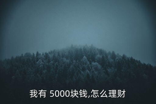 我有 5000塊錢,怎么理財