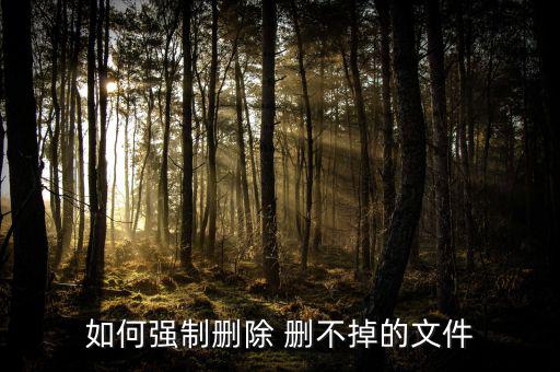 如何強(qiáng)制刪除 刪不掉的文件