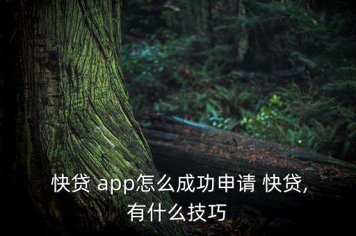  快貸 app怎么成功申請 快貸,有什么技巧