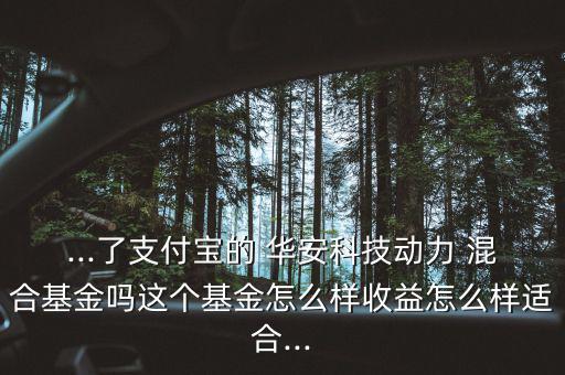 ...了支付寶的 華安科技動(dòng)力 混合基金嗎這個(gè)基金怎么樣收益怎么樣適合...