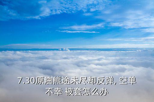 7.30原油熊途未盡卻反彈, 空單不幸 被套怎么辦